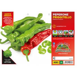 PEPERONE FRIGGITELLO