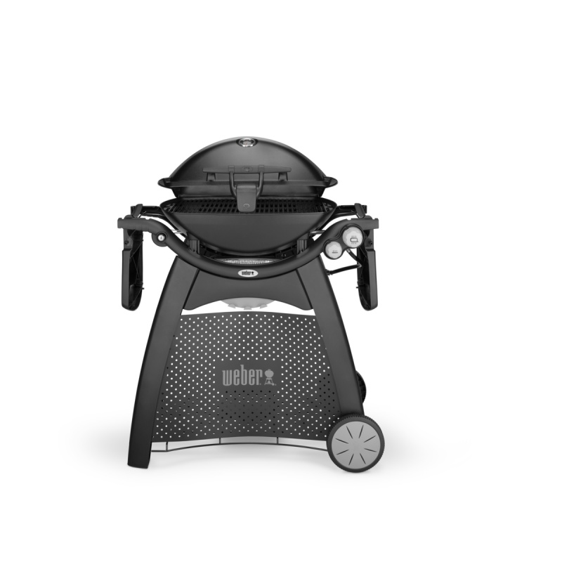 Q3200 weber