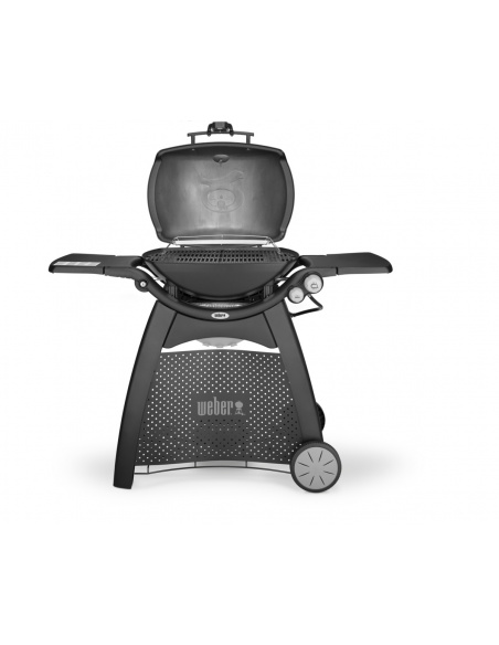 WEBER Q3200