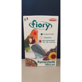 PARROCCHETTI AFRICANI