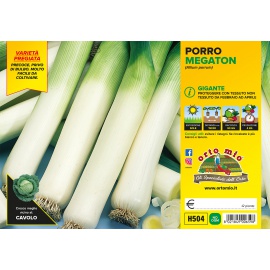 PORRO GIGANTE