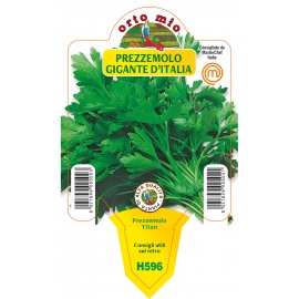 PREZZEMOLO GIGANTE D'ITALIA