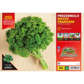 PREZZEMOLO RICCIO FRANCESE 
