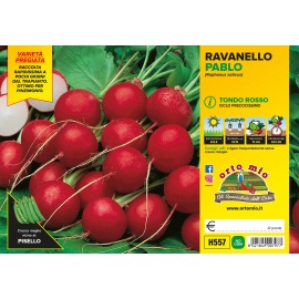 RAVANELLO ROSSO