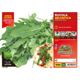RUCOLA SELVATICA
