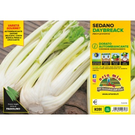 SEDANO DORATO AUTOIMBIANCANTE 