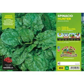 SPINACIO SEMI BOLLOSO 