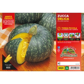 ZUCCA TONDA DELICATA 