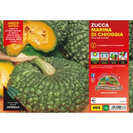 ZUCCA MARINA DI CHIOGGIA 