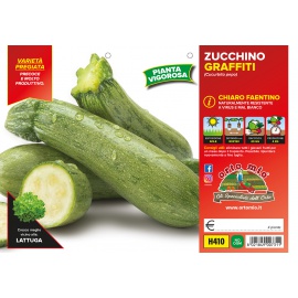 ZUCCHINO CHIARO FAENTINO 