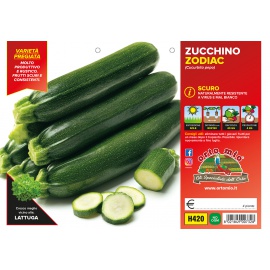 ZUCCHINO SCURO