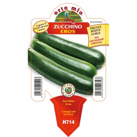 ZUCCHINO SCURO COLTIV. VERTICALE 