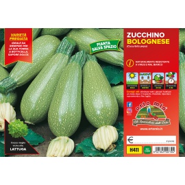 ZUCCHINO BOLOGNESE DA RIEMPIRE 