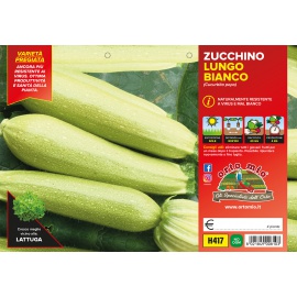 ZUCCHINO LUNGO BIANCO 