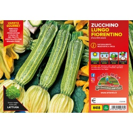 ZUCCHINO LUNGO FIORENTINO 