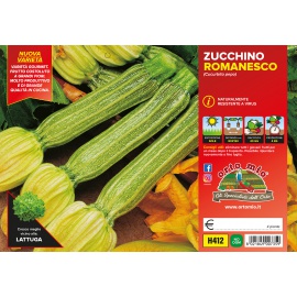ZUCCHINO ROMANESCO
