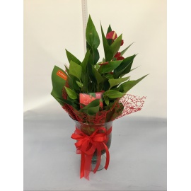 COMPOSIZIONE ANTHURIUM ROSSO CON VASO IN VETRO