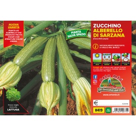 ZUCCHINO ALBERELLO DI SARZANA 