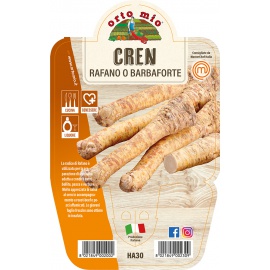CREN O RAFANO