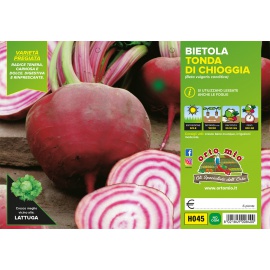 BIETOLA TONDA DI CHIOGGIA VARIETA' BERSAGLIO