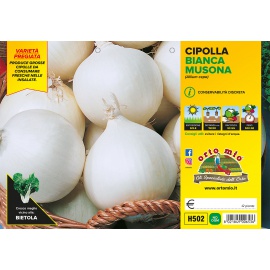 CIPOLLA BIANCA TONDA MUSONA