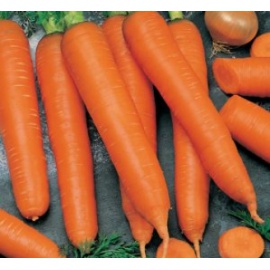 BLUMEN CAROTA FLAKKEE