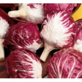 BLUMEN CICORIA ROSSA DI VERONA A PALLA
