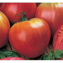 BLUMEN POMODORO SENZA SEMI CUORE DI BUE