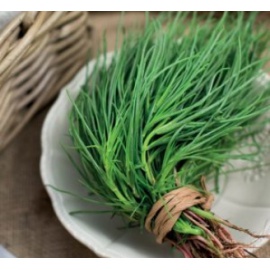 BLUMEN ROSCANO AGRETTO