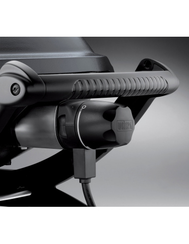 WEBER Q2400 CON STAND WEBER Q2400 CON STAND