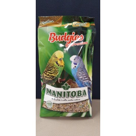 BUDGIES