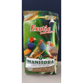 EXOTIC