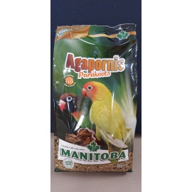 AGAPORNIS PARAKEETS