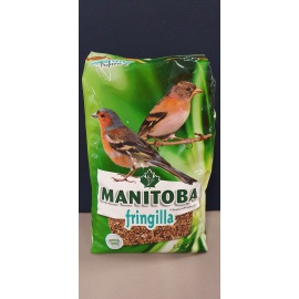 FRINGILLA