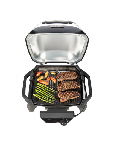 WEBER PULSE 1000 WEBER PULSE 1000