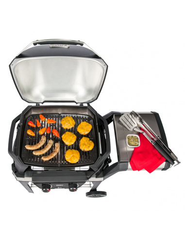 WEBER PULSE 2000 CON CARRELLO