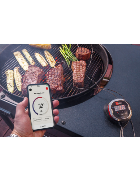 TERMOMETRO iGrill 2 WEBER