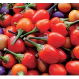 BLUMEN PEPERONCINO CANCUN