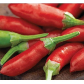BLUMEN PEPERONCINO DIAVOLICCHIO