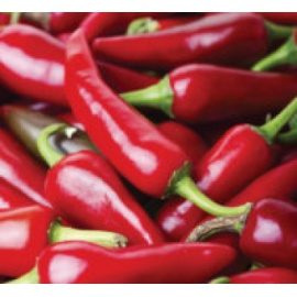 BLUMEN PEPERONCINO SALTILLO