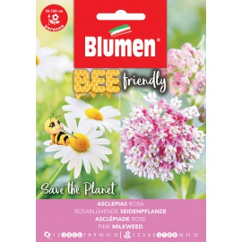 BLUMEN ASCLEPIAS ROSA