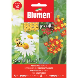 BLUMEN ASCLEPIAS ROSSA