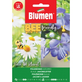 BLUMEN POLEMONIUM AZZURRO