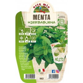 MENTA COCKTAIL 2