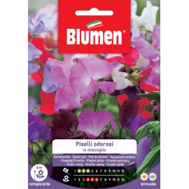 BLUMEN PISELLI ODOROSI
