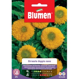 BLUMEN GIRASOLE DOPPIO NANO