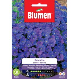 BLUMEN AUBRETIA CASCATA AZZURRA