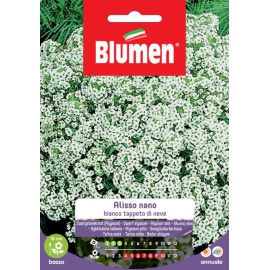 BLUMEN ALISSO NANO BIANCO