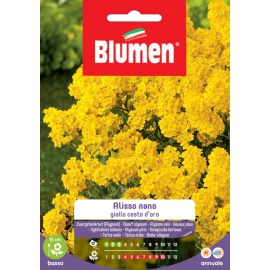 BLUMEN ALISSO NANO GIALLO