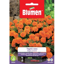 BLUMEN TAGETE NANO DOPPIO ARANCIO